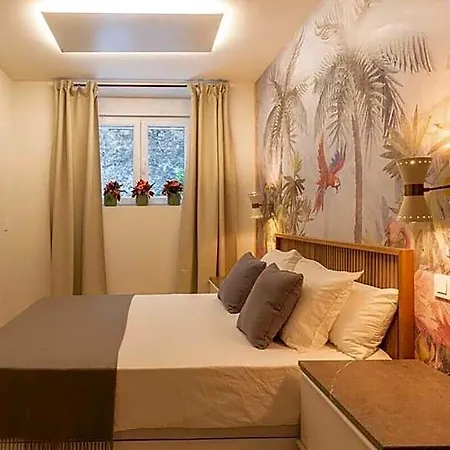 Encanto Santanderino-magallanes